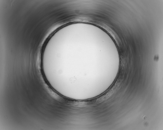 X0000103301131200809191847