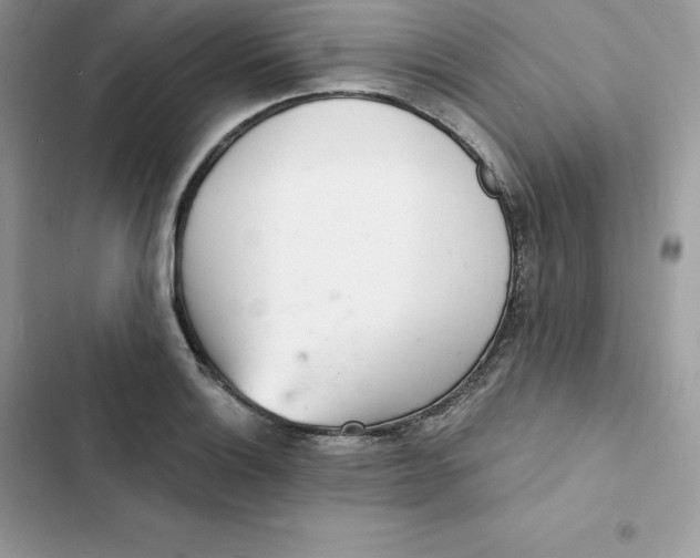 X0000103301132200809191847