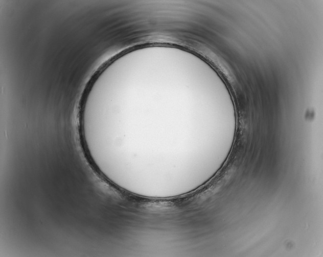 X0000103301133200809191847