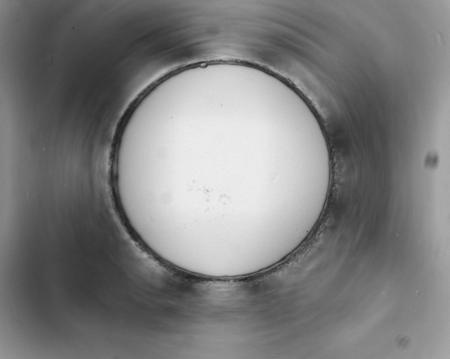 X0000103301134200809191847