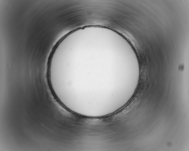 X0000103301135200809191847