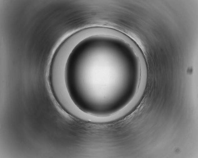 X0000103301136200809191847