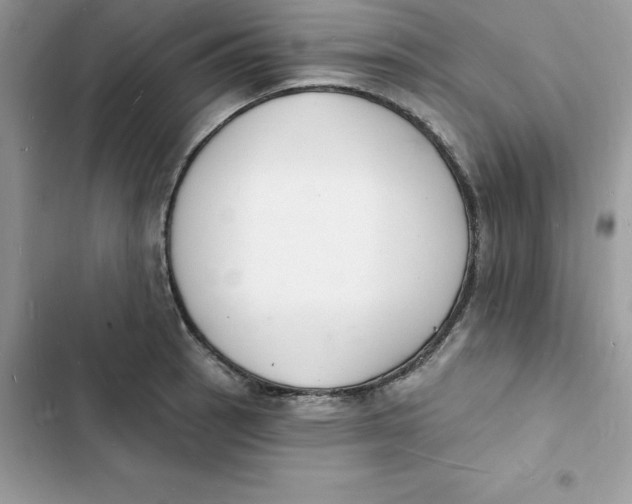 X0000103301137200809191848