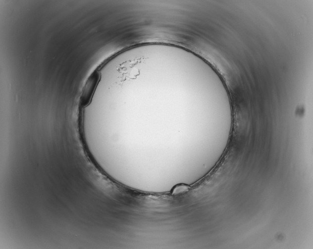 X0000103301138200809191848