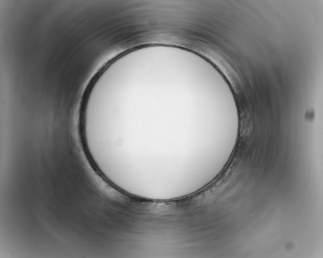 X0000103301139200809191848