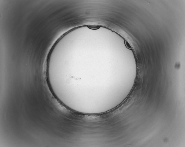 X0000103301140200809191848