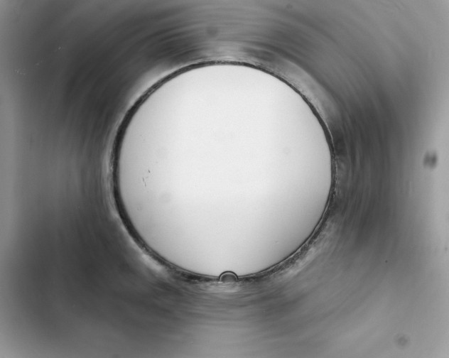 X0000103301141200809191848