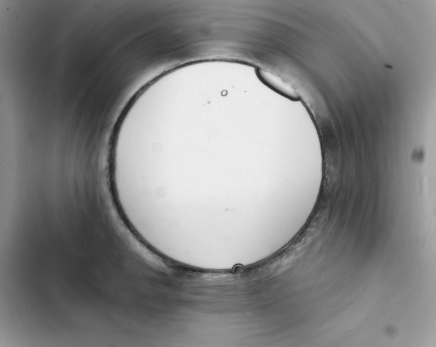 X0000103301142200809191848