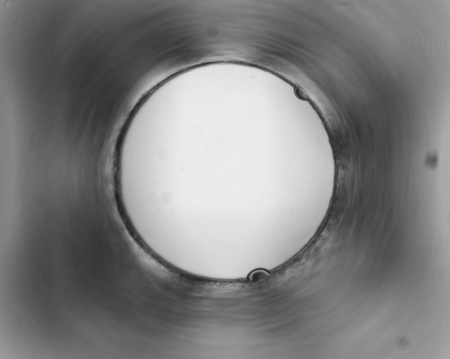 X0000103301143200809191848