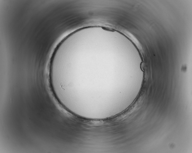 X0000103301144200809191848