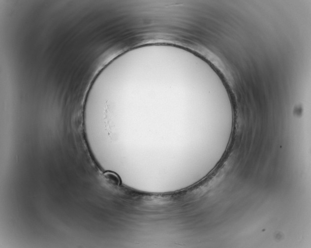 X0000103301145200809191848