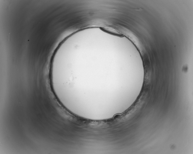 X0000103301146200809191848