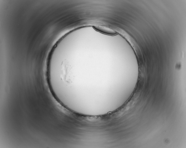 X0000103301147200809191848