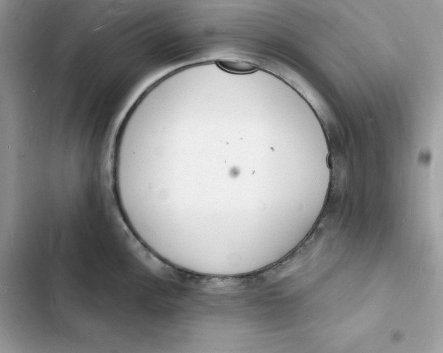 X0000103301148200809191848