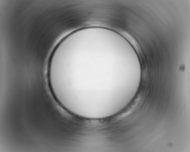 X0000103301149200809191848