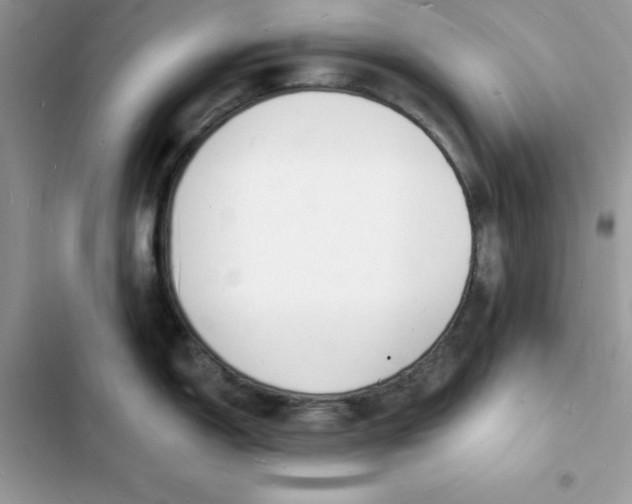 X0000103301150200809191848