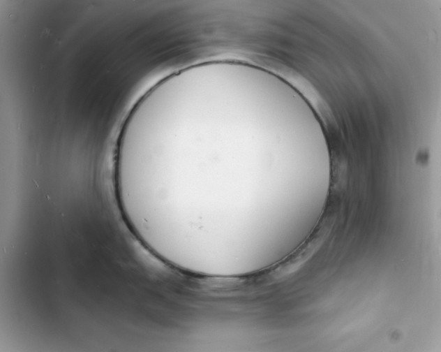 X0000103301151200809191848