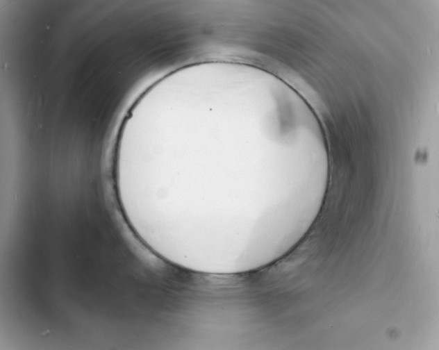 X0000103301152200809191848