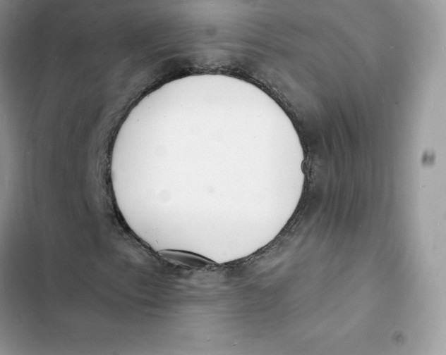 X0000103301153200809191847