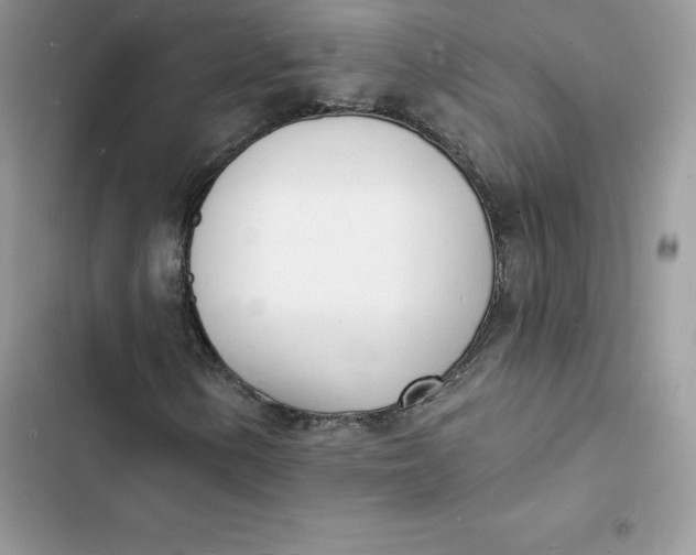 X0000103301154200809191847