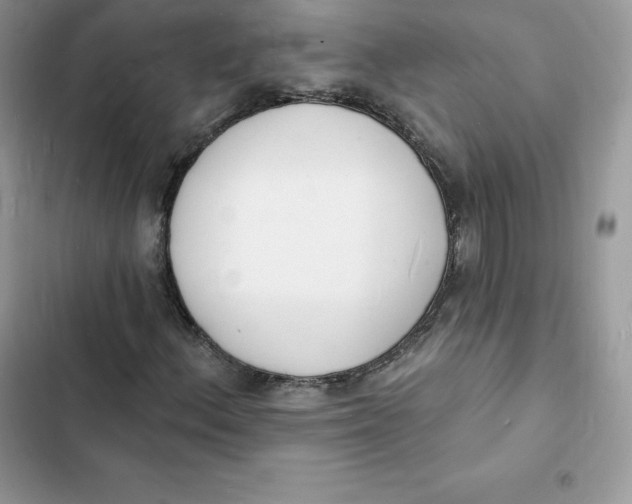 X0000103301156200809191847