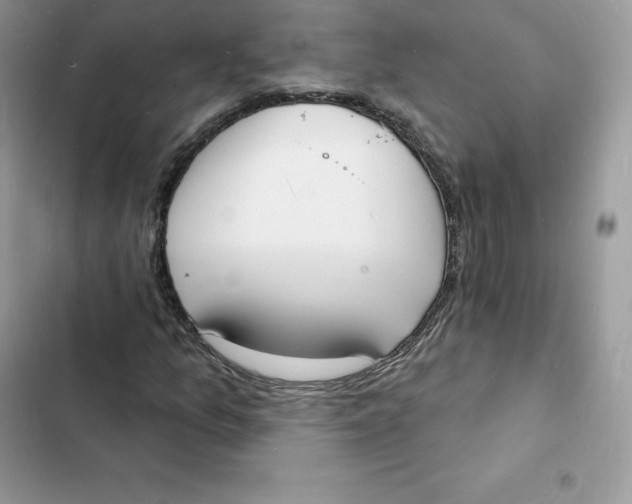 X0000103301157200809191847