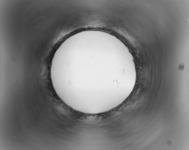 X0000103301160200809191847