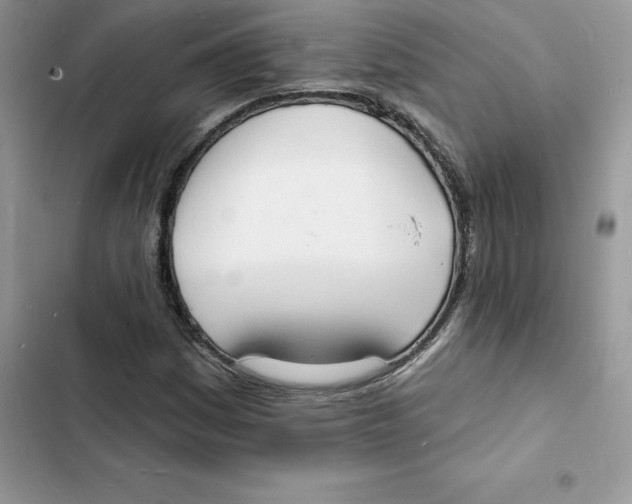 X0000103301161200809191847