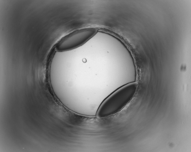 X0000103301165200809191847