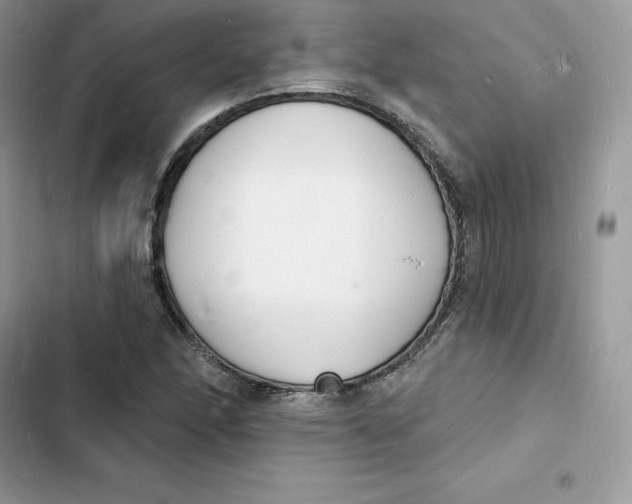 X0000103301166200809191847