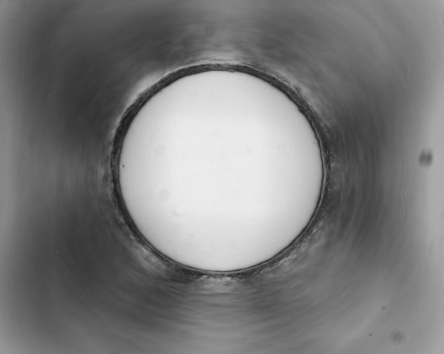 X0000103301168200809191847