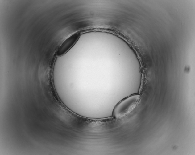 X0000103301169200809191847