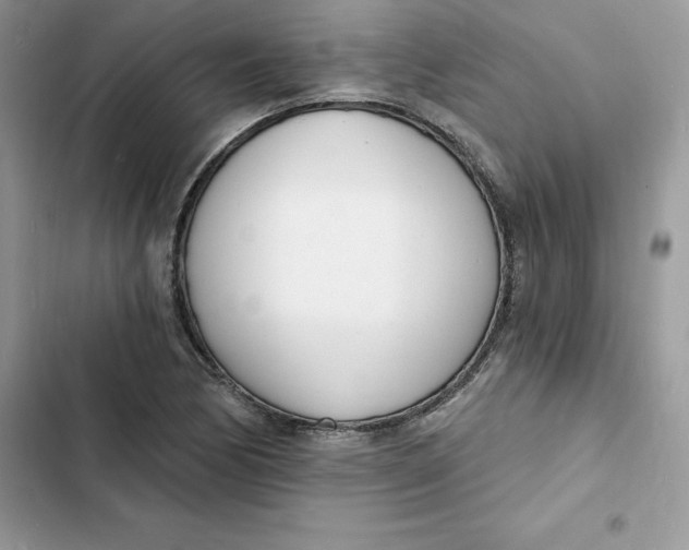 X0000103301170200809191847