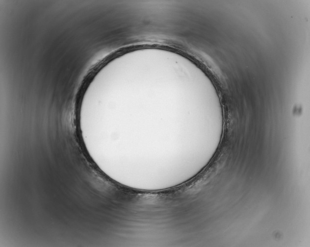 X0000103301172200809191847