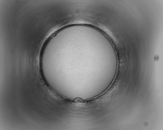 X0000103301173200809191847