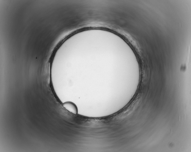 X0000103301175200809191847