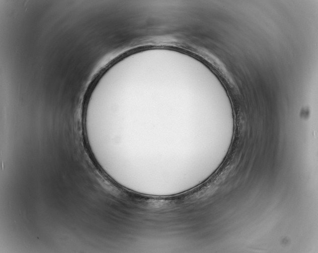 X0000103301176200809191847