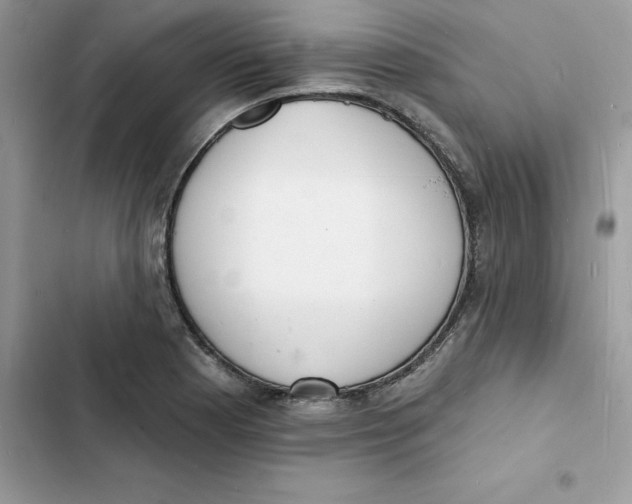 X0000103301177200809191847