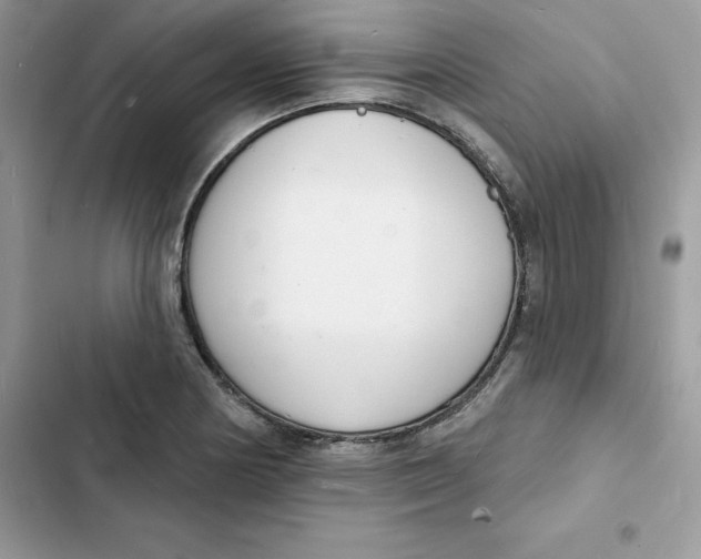 X0000103301178200809191847