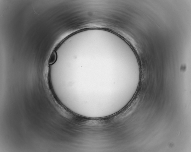 X0000103301179200809191847