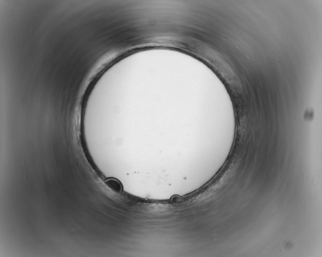 X0000103301180200809191847