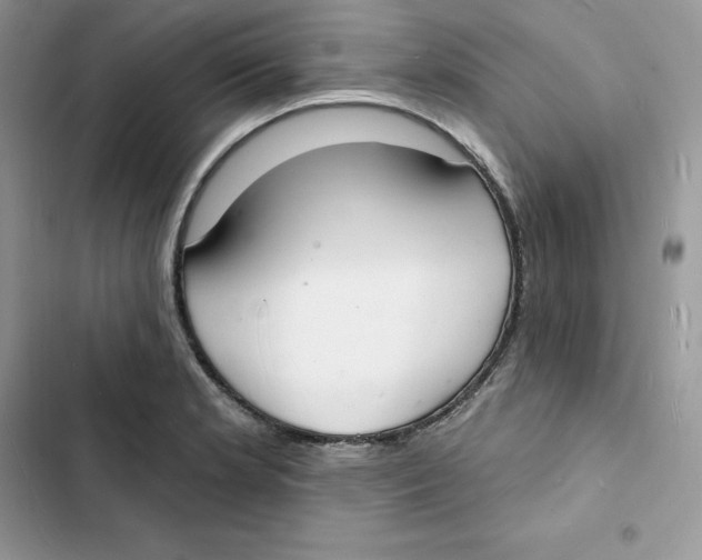 X0000103301181200809191847