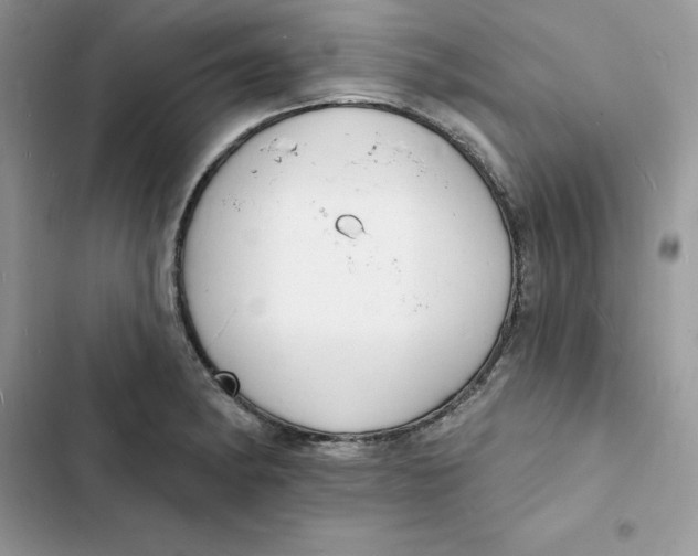 X0000103301182200809191847