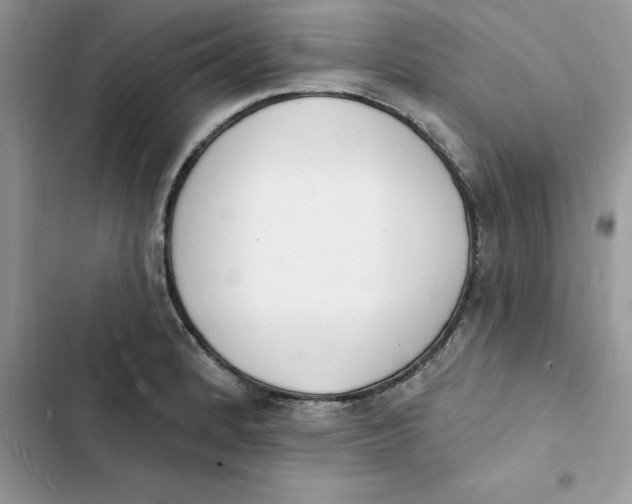 X0000103301184200809191847