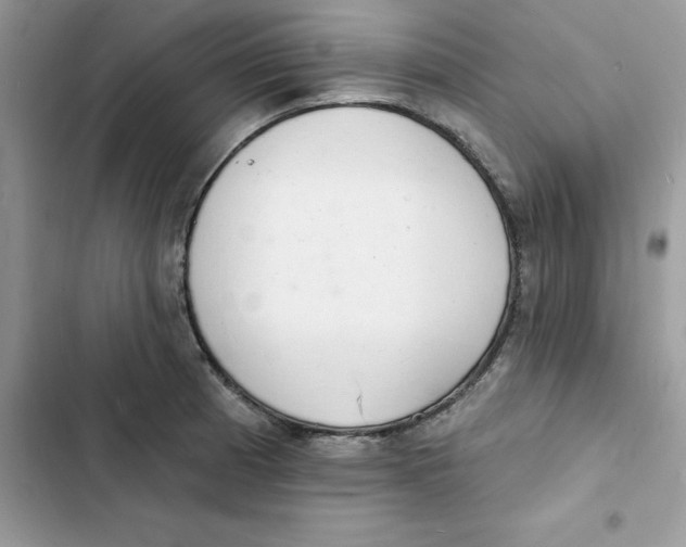 X0000103301185200809191847