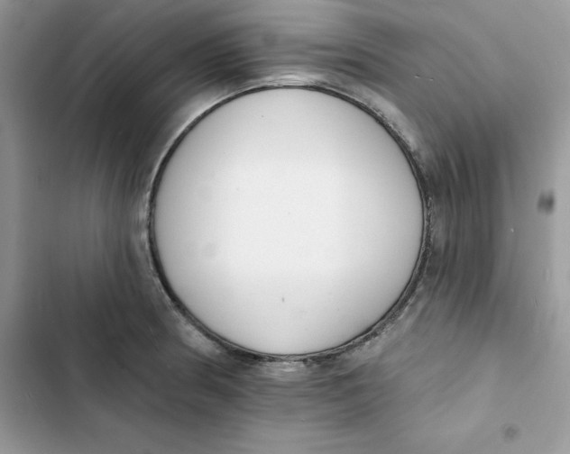 X0000103301186200809191847