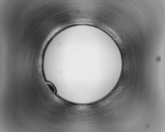 X0000103301188200809191847