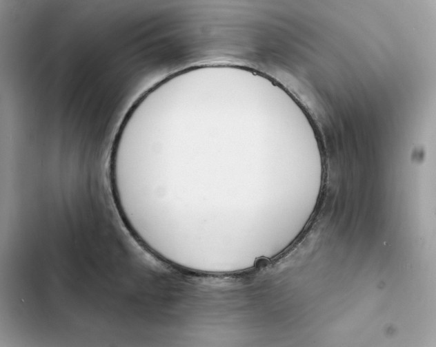 X0000103301189200809191847