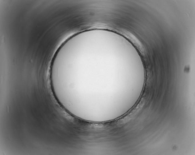 X0000103301190200809191847