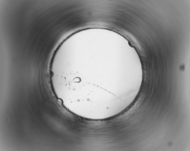 X0000103301192200809191847